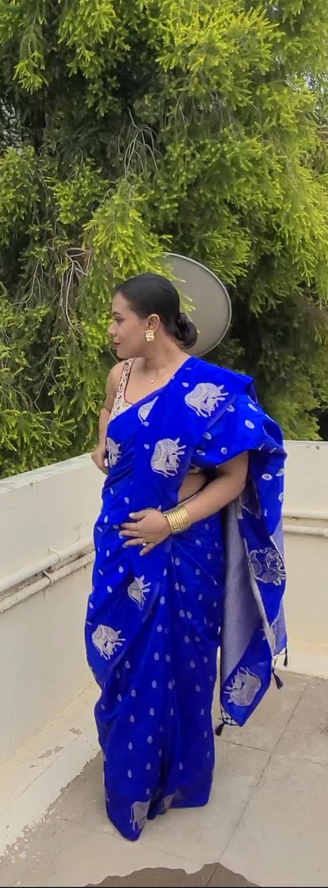 Benarasi Saree